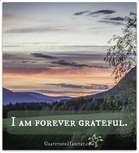 Forever Grateful Quotes. QuotesGram