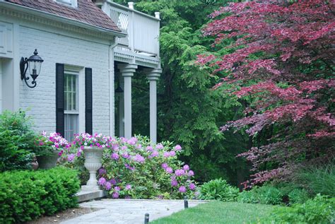 Hydrangea foundation planting | House landscape, Front house landscaping, Front yard landscaping