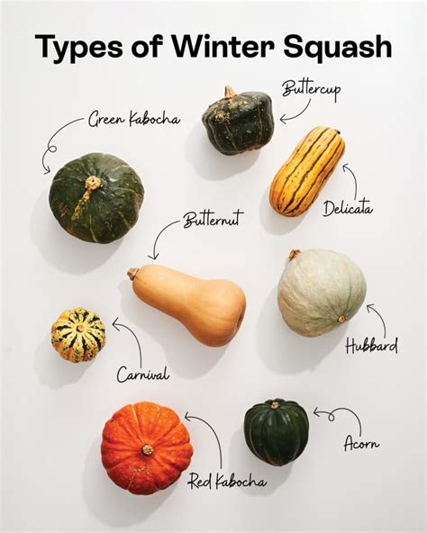 16 Types of Winter Squash You Need to Know | The Kitchn