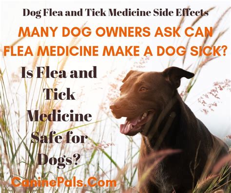 Flea Medicine For Dogs Side Effects