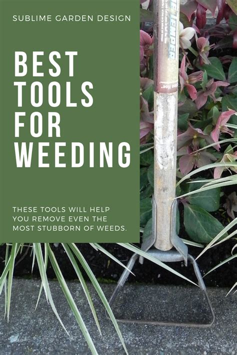 Best Garden Weeding Tools | Fasci Garden