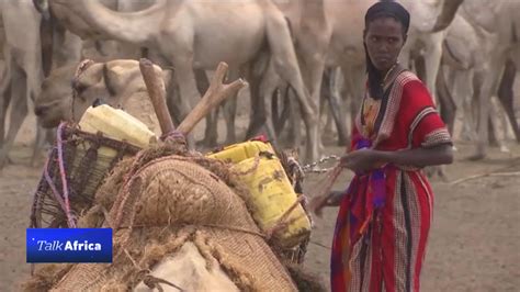 TALK AFRICA: Fighting Africa's famine - CGTN Africa