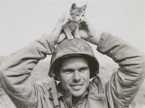 Photos Show Cats Serving As Members of the US Navy - Business Insider