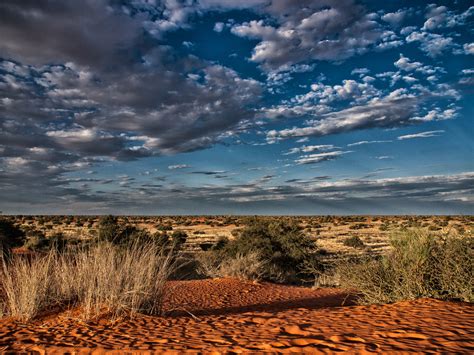 Central Kalahari Game Reserve | Travel Adventures Botswana