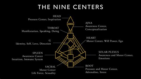 Role of Centers in the Human Design System: What They Mean and How to Balance Them - The Event ...