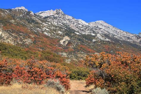 Hiking Trails in Draper Utah: Old Favorites & New Additions