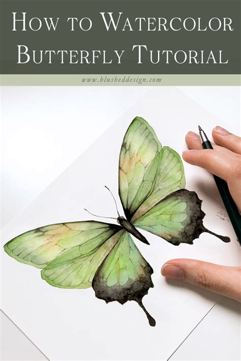 How to watercolor butterfly tutorial – Artofit