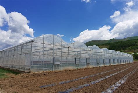 Easy Installed Commercial Hydroponic Farming System Greenhouse Hydroponics Plastic Film Multi ...