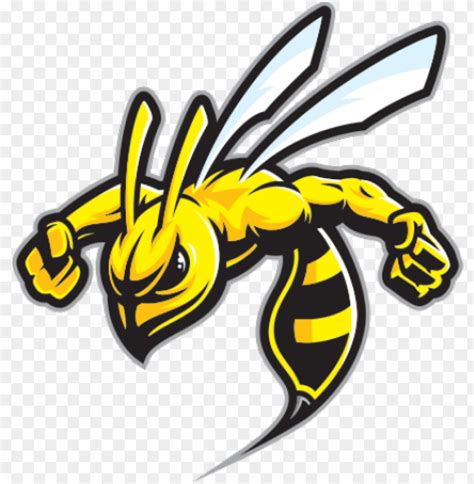 Hornet clipart wasp sting honey bee mascot logo png image with ...