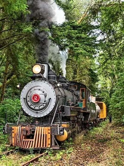 Oregon Coast Scenic Railroad - Travel & Enjoy