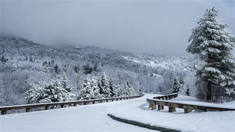 5 Best Shenandoah Valley Cabins In Virginia | Winter Getaway