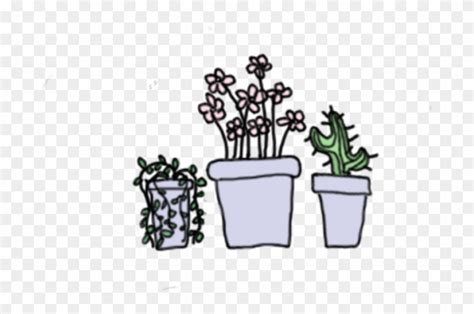 Cute Succulent Drawing Other succulents such as aloe and echeveria ...