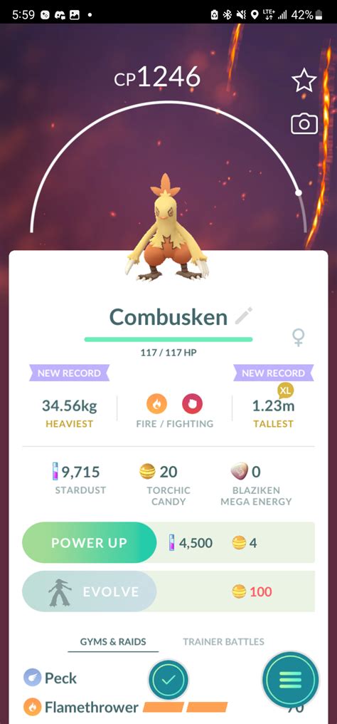 29 best Combusken images on Pholder | Shiny Pokemon, Pokemon Emerald and Mand JTV