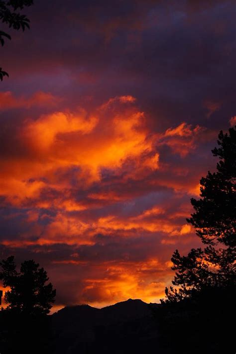 Sunrise, Canadian Rockies Photograph by Jeffrey Hall - Fine Art America