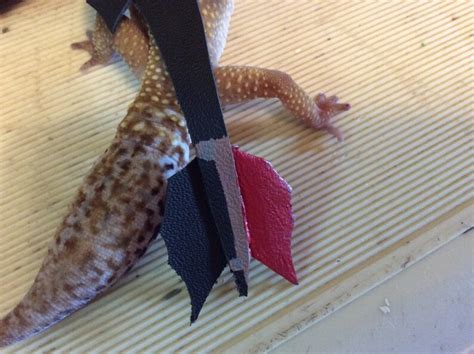 Leopard gecko dragon costumes | Etsy