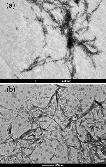 TEM images of the unmodified cellulose nanocrystals (a) and of the ...