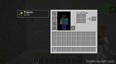 Poison in Minecraft