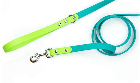 Two-toned Biothane Dog Leashes Waterproof Dog Leash | Etsy