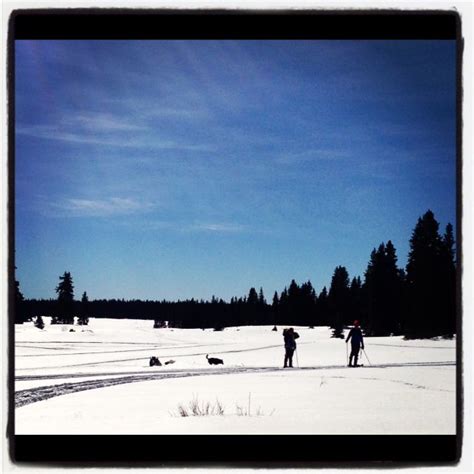 Snowshoeing on the Grand Mesa | Ski trails, Cross country skiing ...