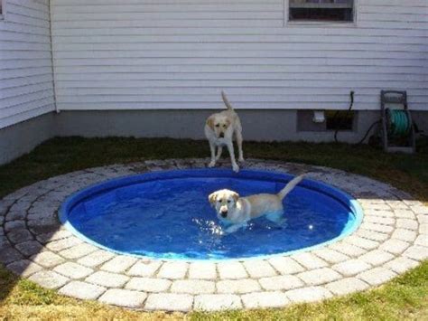 20 Brilliantly Creative Ways To Repurpose Those Old Kiddie Pools - Page 2 of 2 - DIY & Crafts