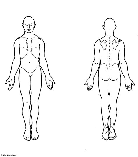 Printable Body Chart