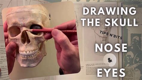 Skeleton Nose Drawing