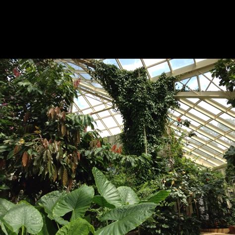 Butterfly conservatory callaway gardens | Callaway gardens, Outdoor pool, Places ive been