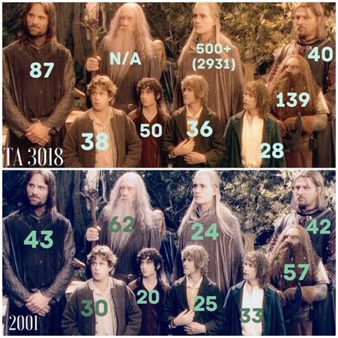 The ages of the major Lord of the Rings: The Fellowship of the Ring actors according to the LOTR ...