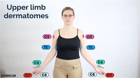 Dermatomes Upper Extremity Testing