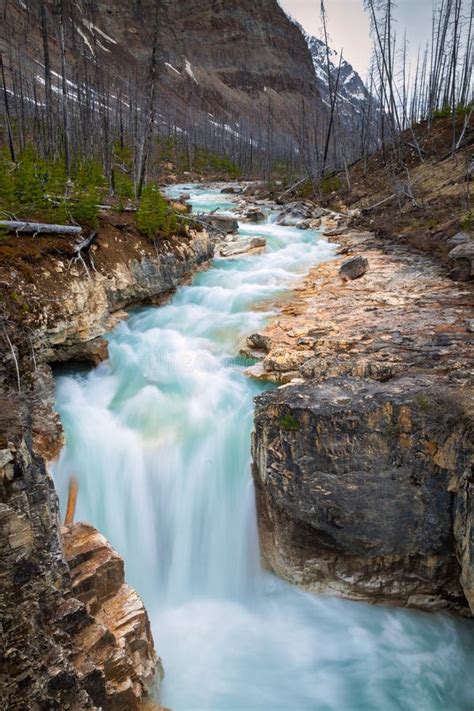 Marble Canyon in Kootenay National Park, British Columbia Stock Image - Image of canada, water ...