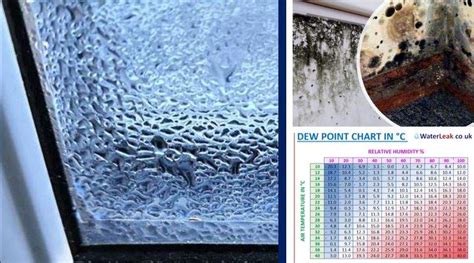 Dew Point Chart (Degrees) - Simple & Fast