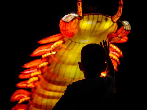 Asian Lantern Festival - Cleveland Metroparks Zoo — Caswell Visuals