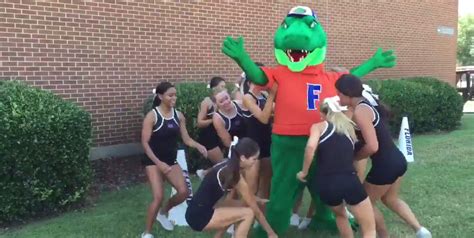 Florida Gators mascots Albert, Alberta getting new costumes - Alligator Army