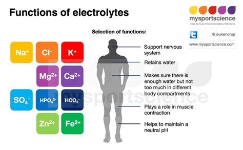 Electrolytes under investigation