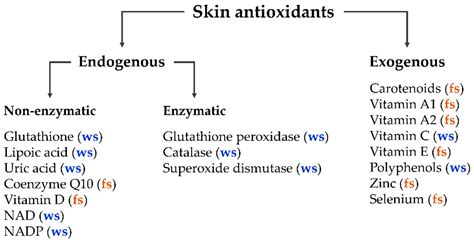 Antioxidants | Free Full-Text | Carotenoids in Human Skin In Vivo: Antioxidant and Photo ...