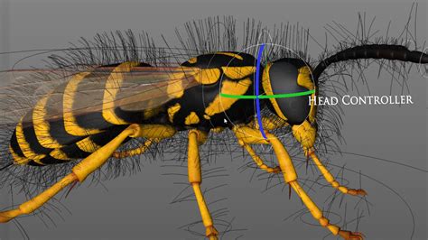 Vespula squamosa rig model - TurboSquid 1247396