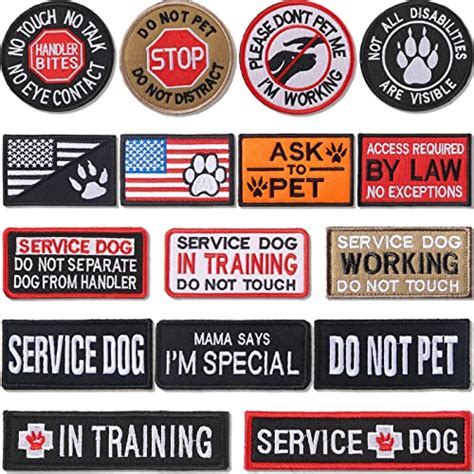 Introducing The Best Patches For Dog Vests