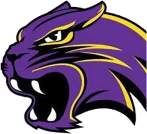 Purple Clipart Wildcat - Waconia Wildcats Football Logo - Png Download ...