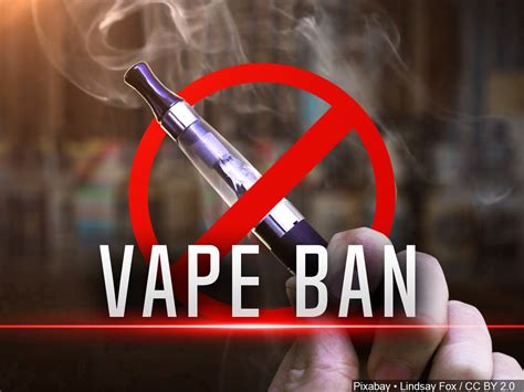 A vaping ban could be headed to your state, what's next for the future of e-cigarettes? - The ...