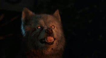 Scary Moments (Nightmare Fuel) in Pet Sematary Two - TV Tropes