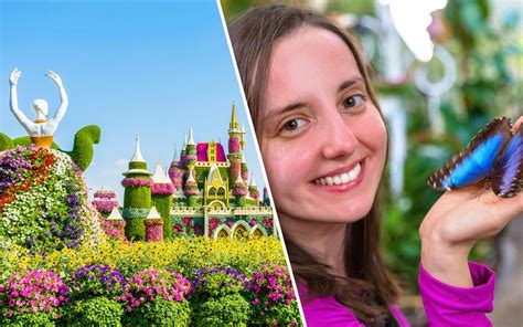 Book Dubai Miracle Garden & Butterfly Garden Combo Tickets