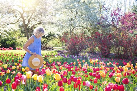 Creative Flower Garden Ideas to Transform Your Outdoor Space