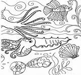 Ocean Coloring Pages  Free Printable For Kids sketch template