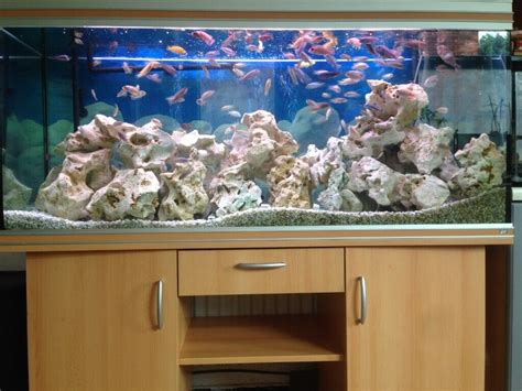 FULL TROPICAL AFRICAN CICHLIDS AQUARIUM - INCLUDING FISH – FULL SETUP | in Yardley, West ...