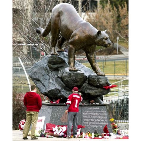 "Cougar Pride" | Washington State University Mascot - Mike Fields ...