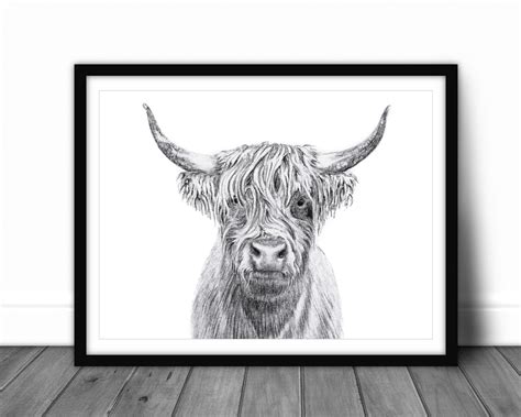 Highland Cow Portrait - Wildlife illustration by LE NID atelier