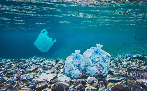 Plastic wastes on ocean floor - PixaHive