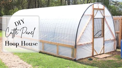 DIY Cattle Panel Hoop House || Build Your Own Cheap & Easy! | Cattle ...