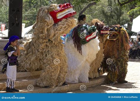 Okinawan Lion Dancers editorial stock photo. Image of festival - 26456868