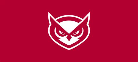 Temple University Owl Mascot Redesign